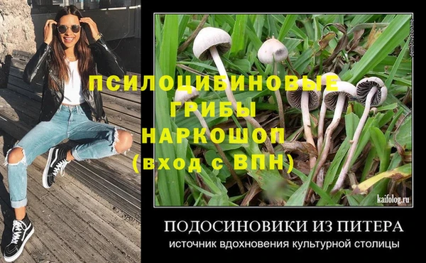 бутират Лагань