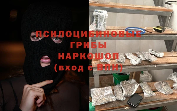 мет Ладушкин
