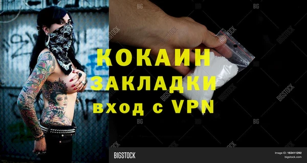 мет Ладушкин