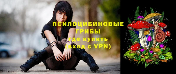 метадон Лабытнанги