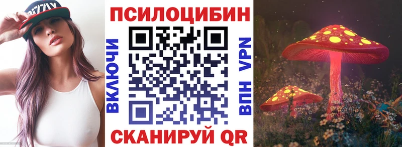 Псилоцибиновые грибы Psilocybe  Купить закладки  Кондрово 